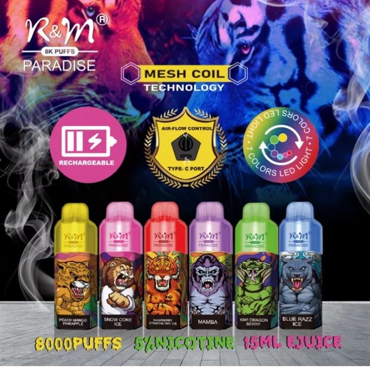 R&M প্যারাডাইস 8000 PUFFS