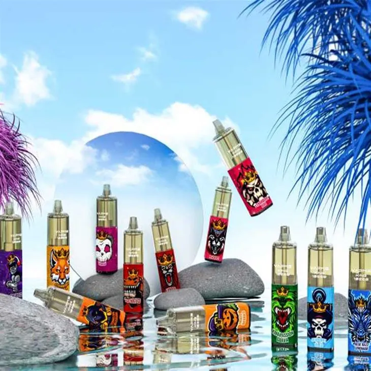 VAPME KING 12000 PUFFS