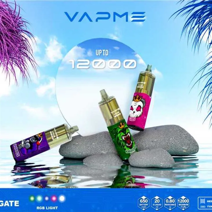VAPME KING 12000 PUFFS