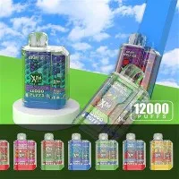 ELFWORLD XTIA 12000 Vape