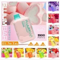 Fluum Bar5500 Vapers স্মোক