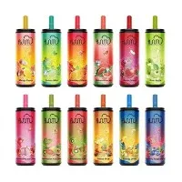 Fluum বার 6000 Vapers