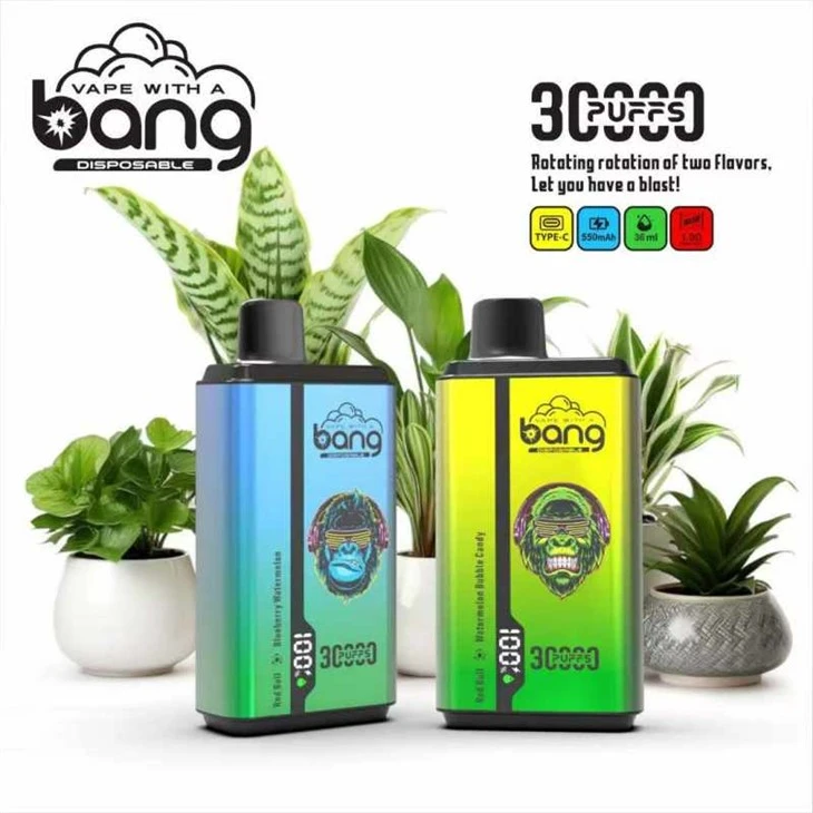 ব্যাং 30K পাফস ভ্যাপ ডুয়াল ফ্লেভার