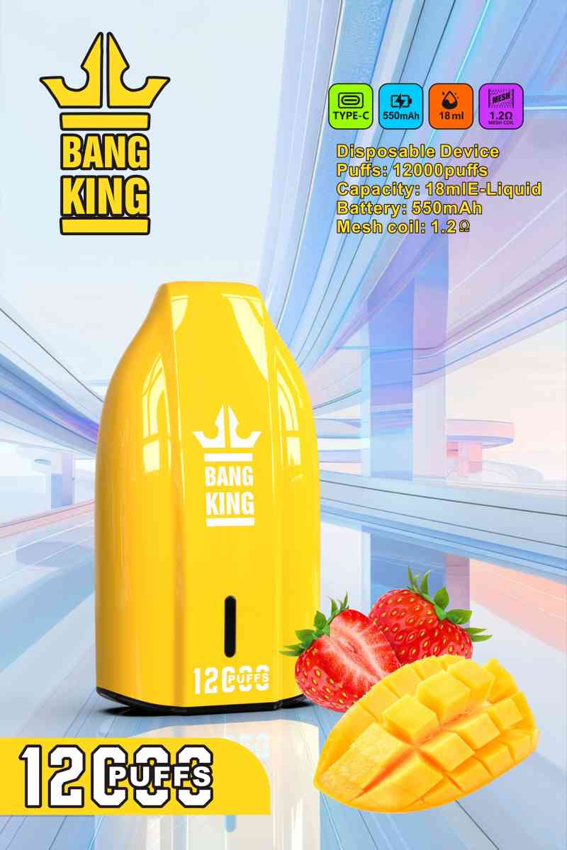 BANG KING 12000 16 BANG KING 12000 16