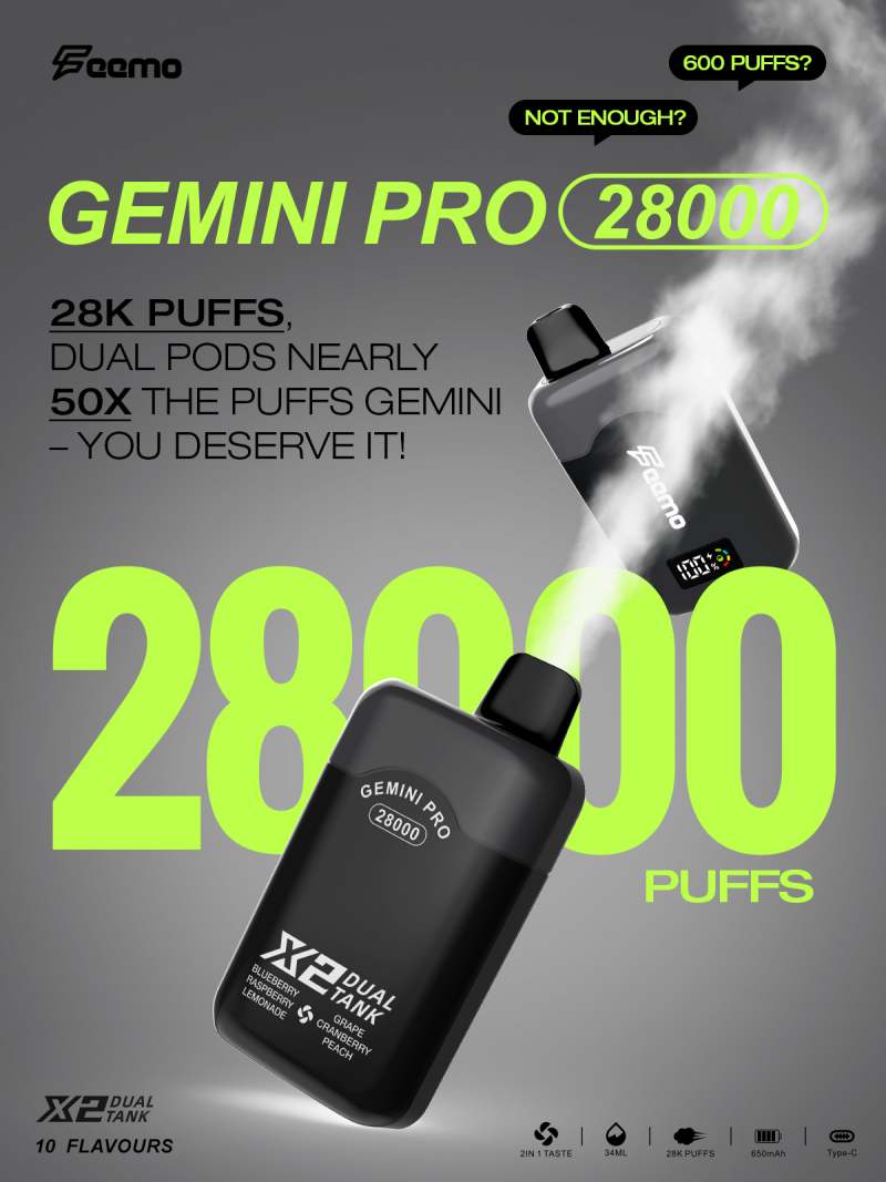 Feemo GEMINI PRO 28000 13