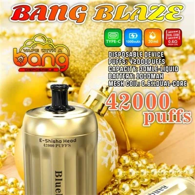 ব্যাং ব্লেজ ই-শিশা হেড 42000 পাফস