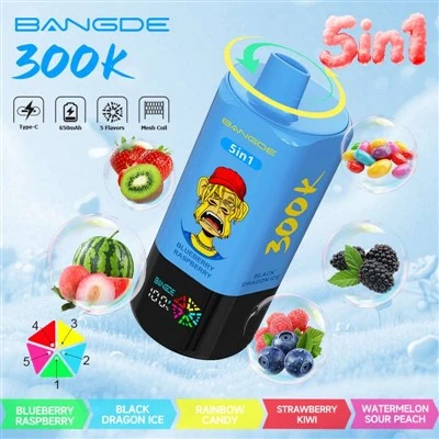 ব্যাং ডি 5 ইন 1 300K