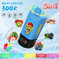ব্যাং ডি 5 ইন 1 300K