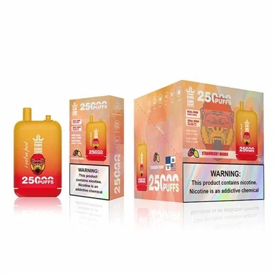 ব্যাং কিং 25000 পাফস ডিসপোজেবল ভ্যাপ