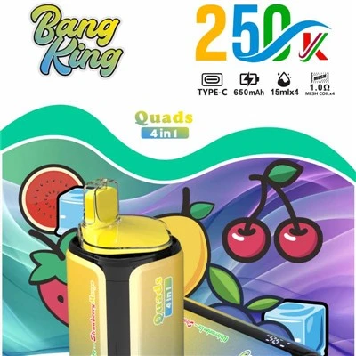 ব্যাং কিং কোয়াডস 4in1 250000