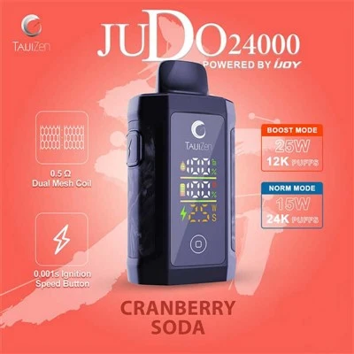 তাইজিজেন জুডো 24000 পাফস