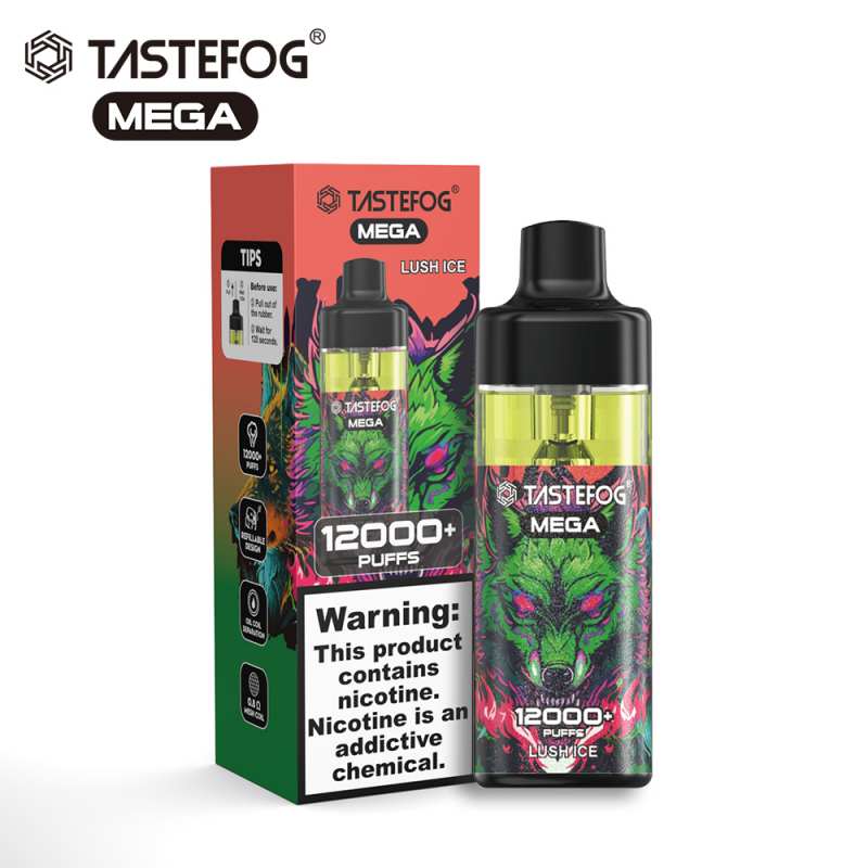TASTEFOG MEGA 12K পাফ